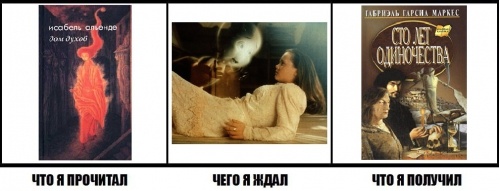 картинка Gato_del_Norte