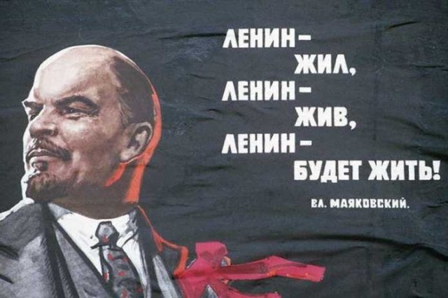 картинка GenPet