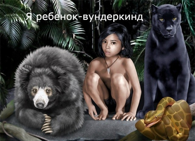 картинка GipsyBatsyGeek