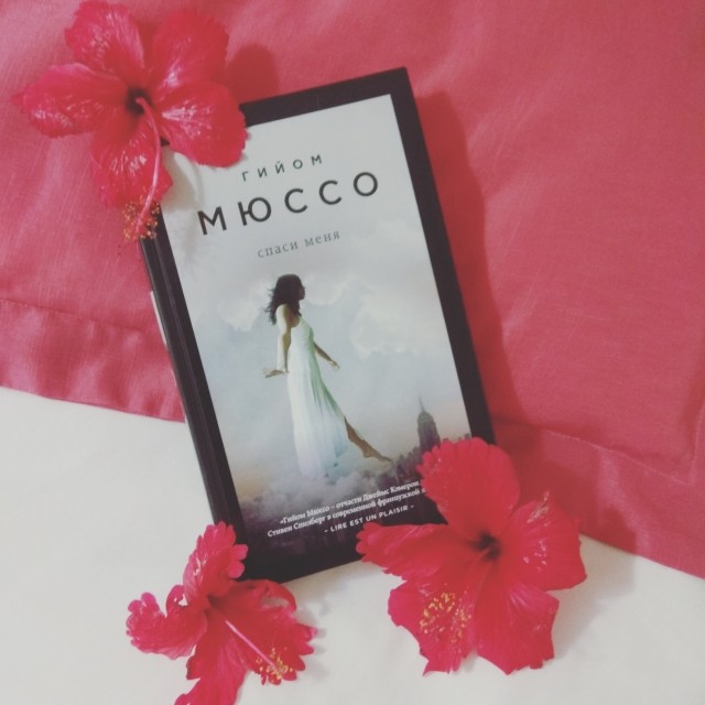 картинка HerzAusEis