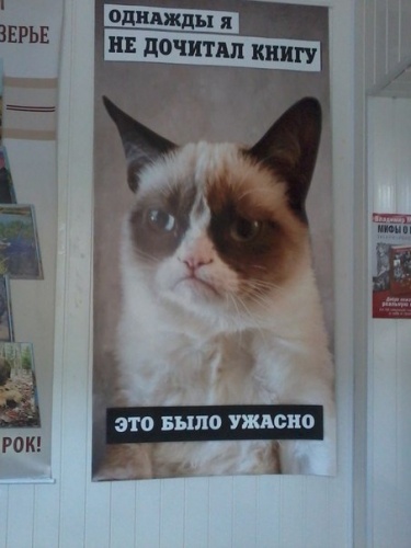 картинка Hey_Kat