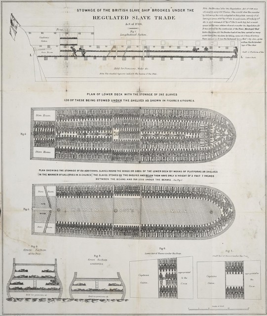 картинка IegudiilHlamida