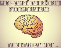 картинка InniS
