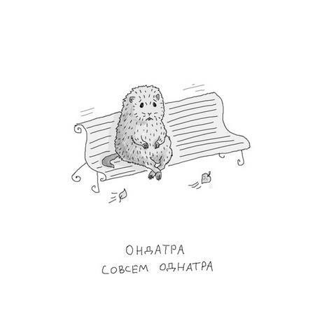 картинка InniS