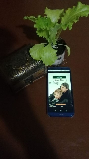 картинка Javen