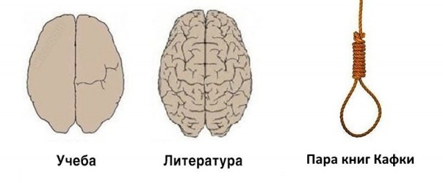 картинка KALK