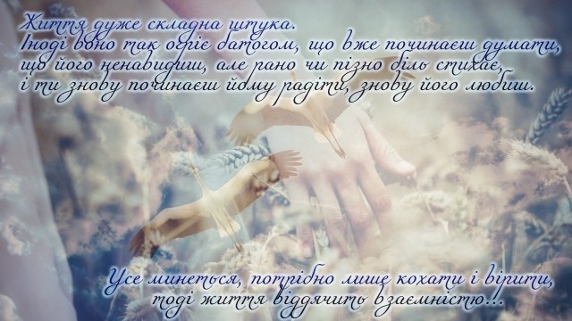 картинка KATbKA
