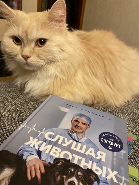 картинка Kamiana