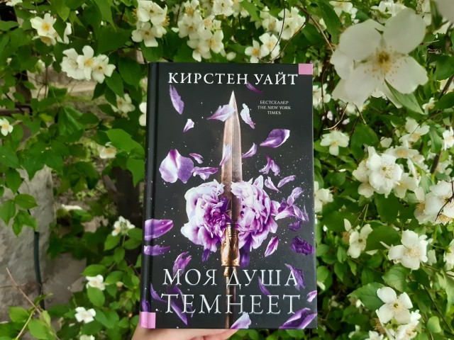 картинка KatrinBelous