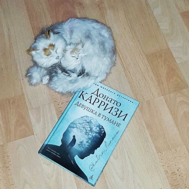 картинка KatrinLuneva