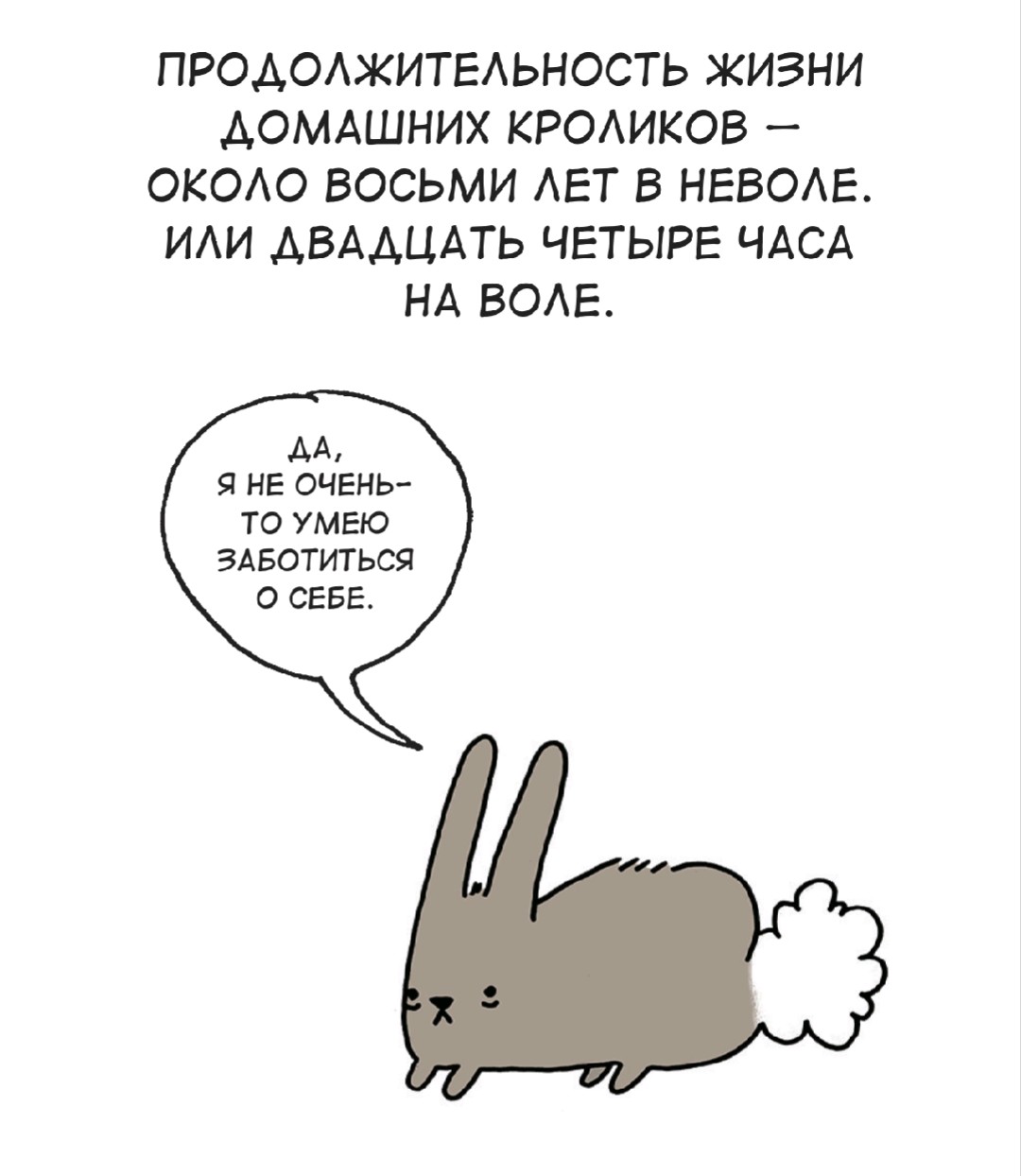 Брук Баркер «Грустные факты о животных» — отзыв от Kirael