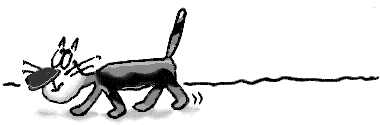 2003857p8046798-o.png