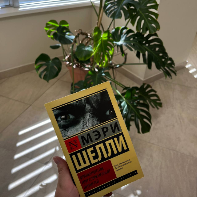 картинка KrisrinaBook12