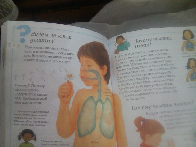 картинка Kultmanyak