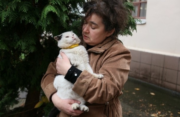 картинка Kurbatova_Ioanna