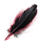o-o.png