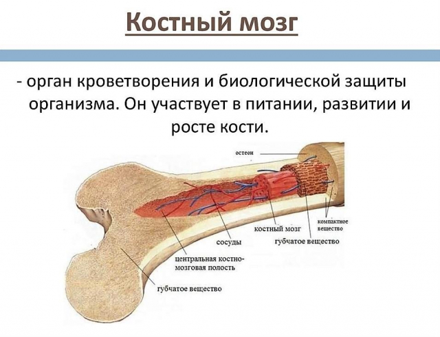 картинка LaLoba_13