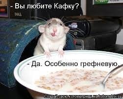 картинка Lady_Light