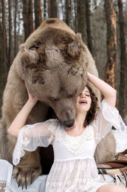 Медведь и Касси