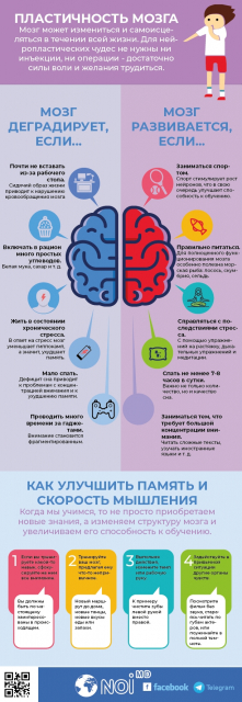 картинка Leksi_l