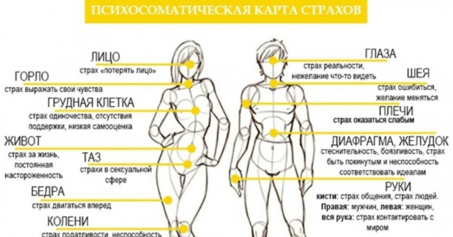 картинка Leksi_l