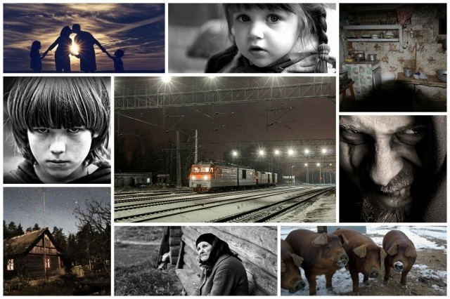 картинка Lilera
