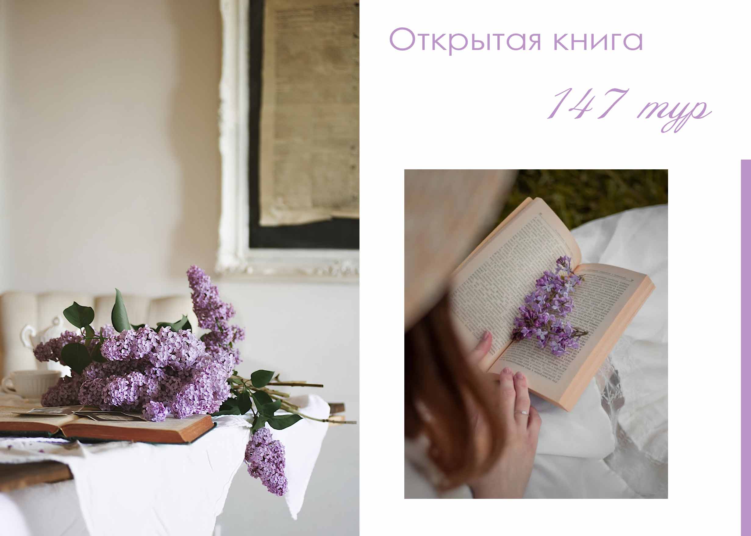ОСНОВНАЯ КАРТИНКА