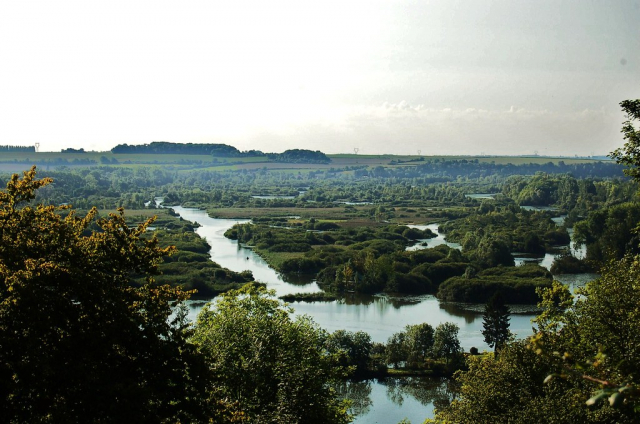 картинка LinaSaks
