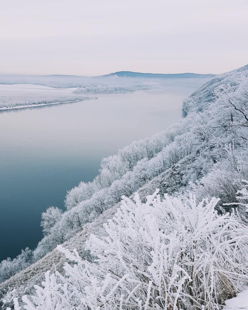 картинка LinaSaks
