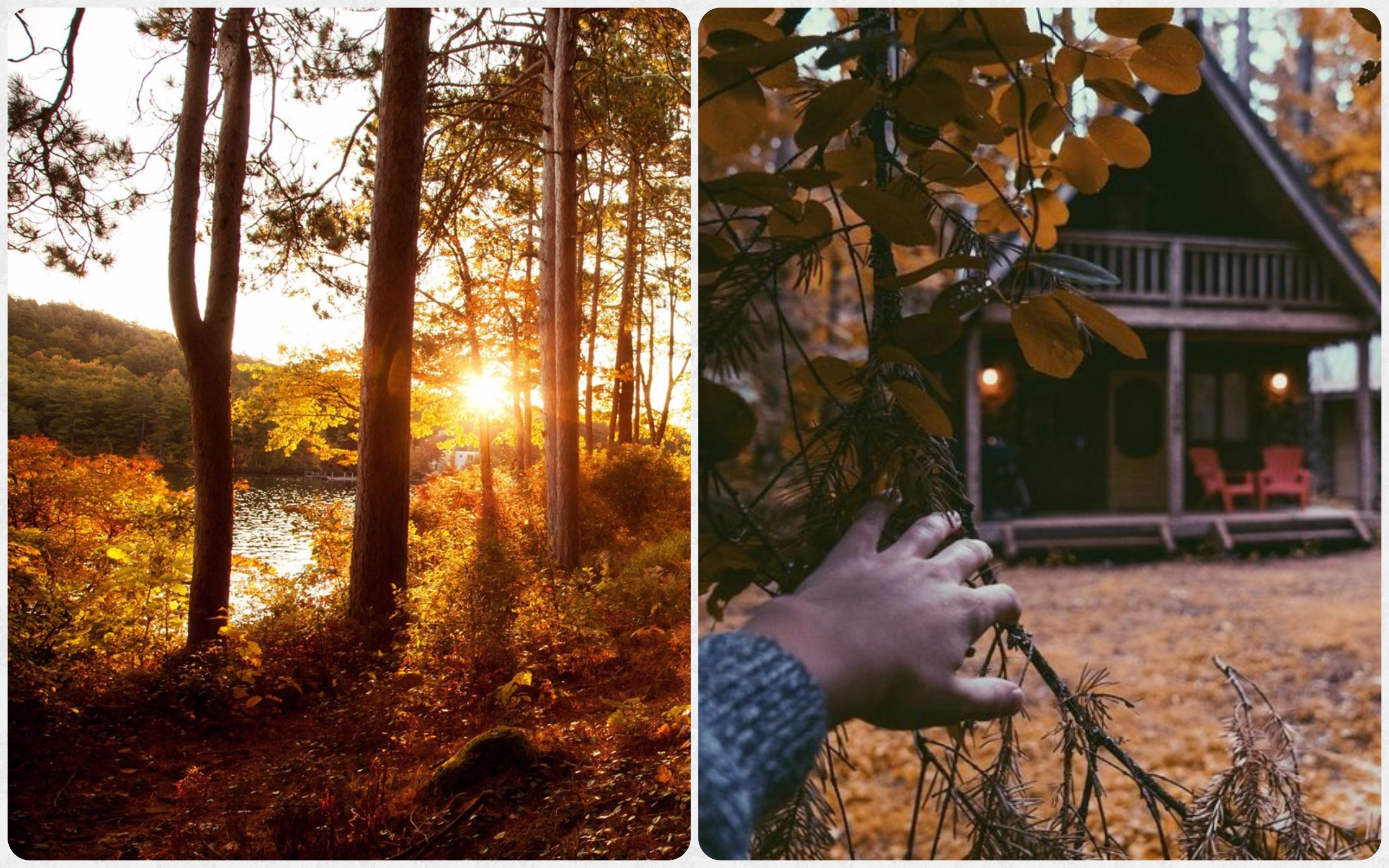 Вечер дом осень. Осень Эстетика. Уют осень дом лес. Уют в лесу. Осень дом вечер.
