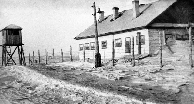 картинка Lisena0304