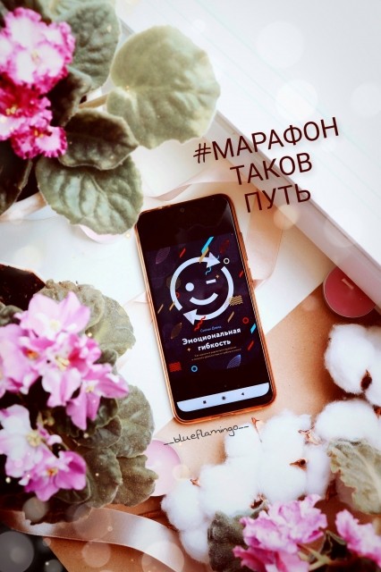 картинка Loranselle