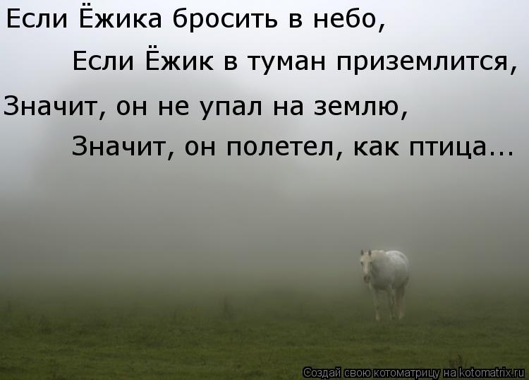 Куда деваться одиноким. Ежик в тумане цитаты. Лошадка Ежик в тумане. Лошадь в тумане. Смешные фразы про туман.