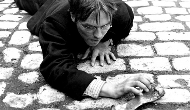 картинка LunaHalo