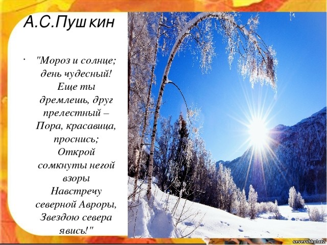 картинка Lyubochka