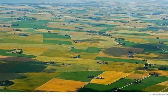 картинка Margaret