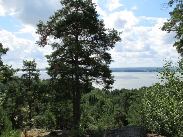 картинка Margaret