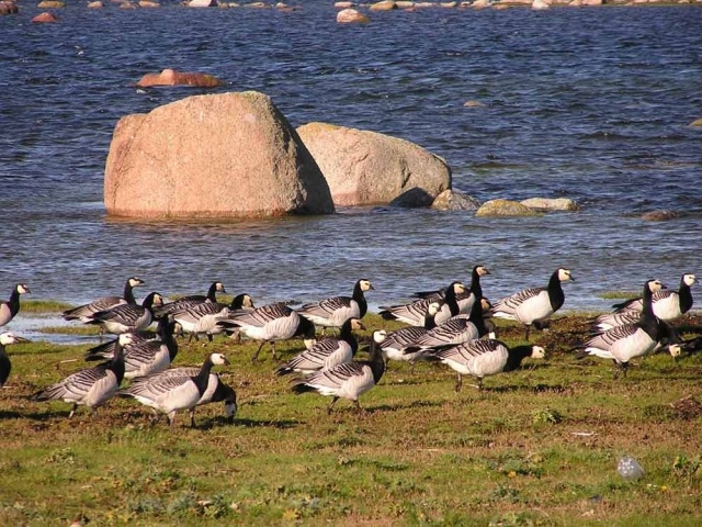 картинка Margaret