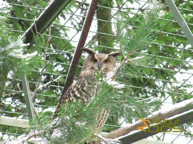 картинка Margaret