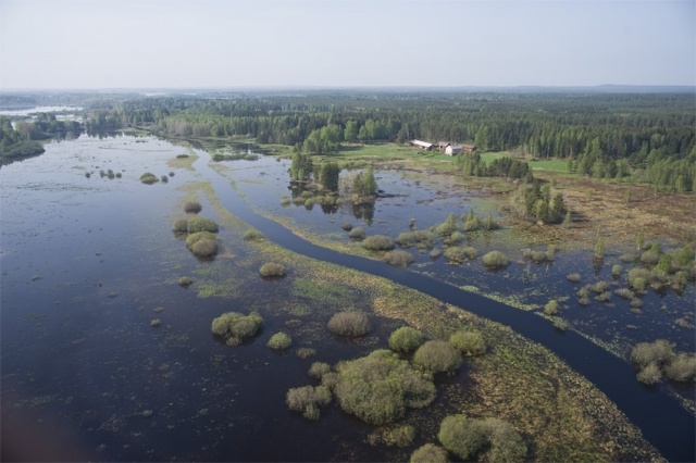 картинка Margaret