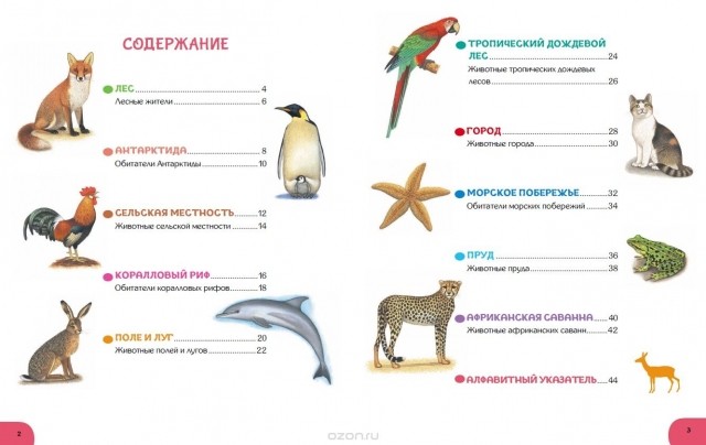 картинка Marikk