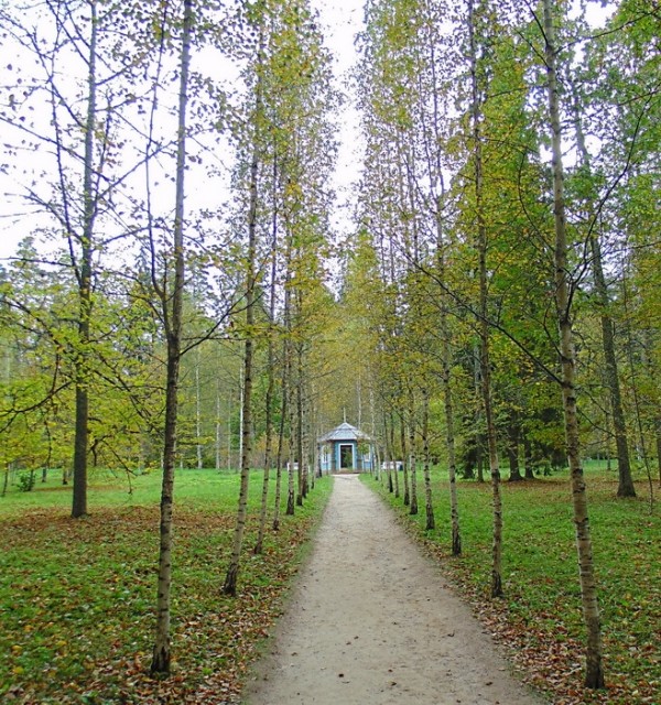 картинка Marina_ya