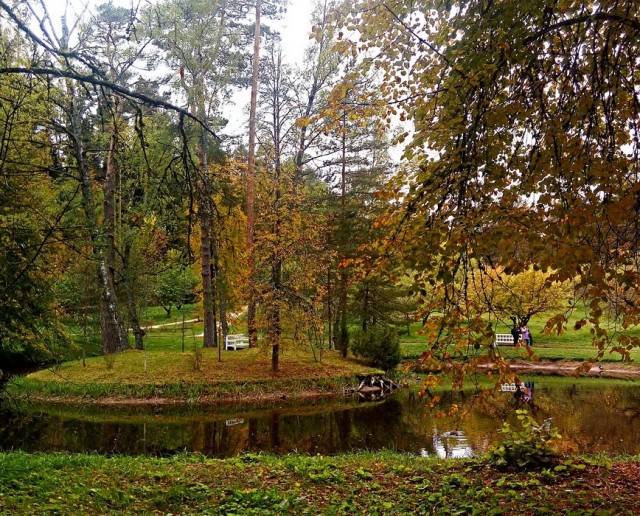 картинка Marina_ya