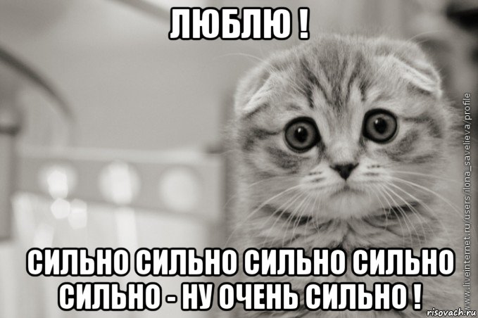 Картинки как я тебя люблю сильно