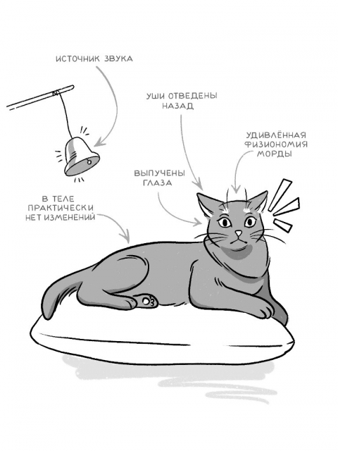картинка Masha_Homyk