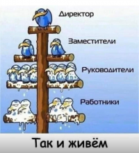 картинка Miss_Dragon