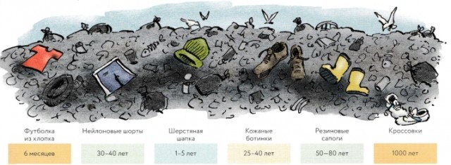 картинка Ms_Luck