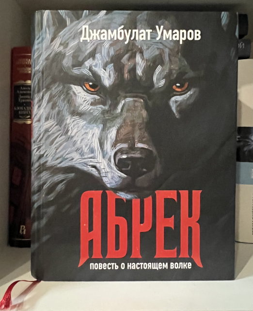 картинка NadiAlex