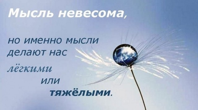картинка Nereida