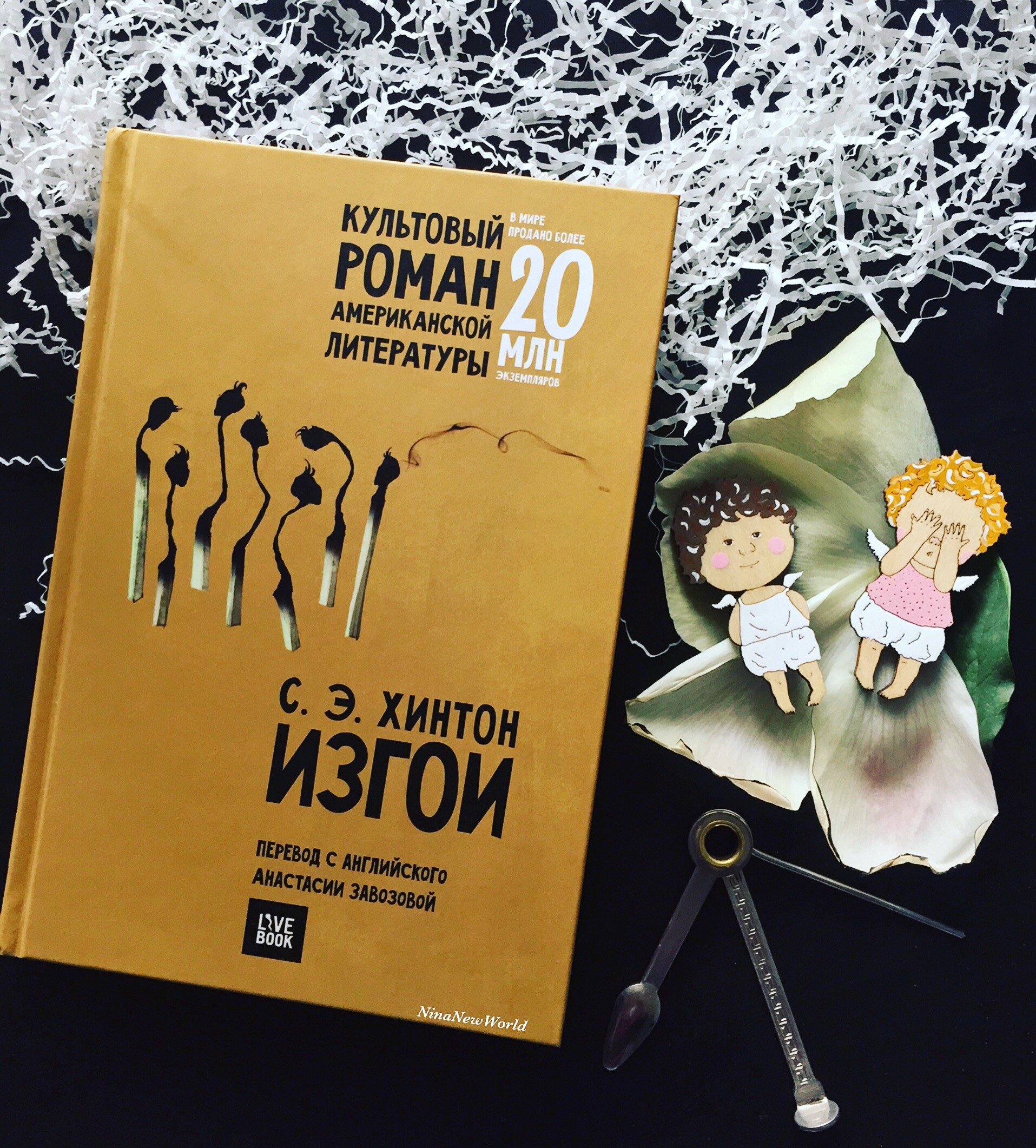 Изгои книга хинтон. Хинтон Сьюзан "изгои". Сьюзан Элоиза Хинтон "изгои". Изгои Сьюзан Хинтон книга.